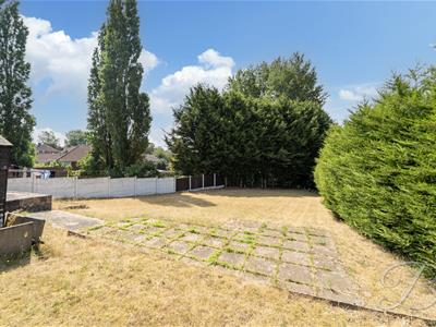 Picture 28